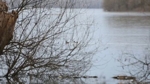 River in winter Stock Footage 83701052