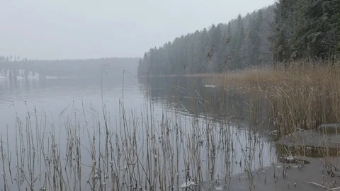 River in winter 스톡 동영상 123229673