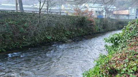River in winter Stock Footage 167008453