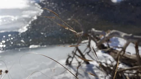 River in Winter Stock Footage 262122375