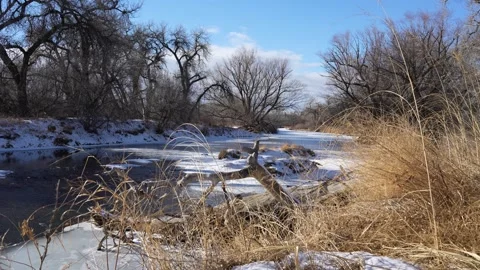 River in Winter Stock Footage 262122435