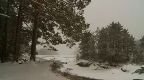 River winter forest 4 Video stock 7740680