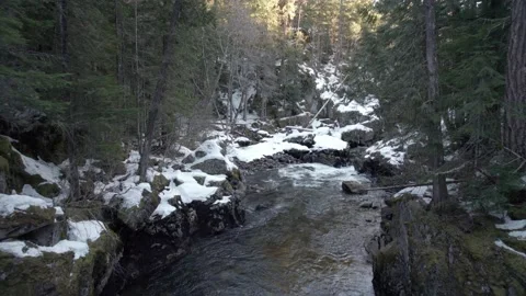 River in winter forest, evergreen, pristine nature, fresh air. 5.4K 24FPS Stock Footage 236193109