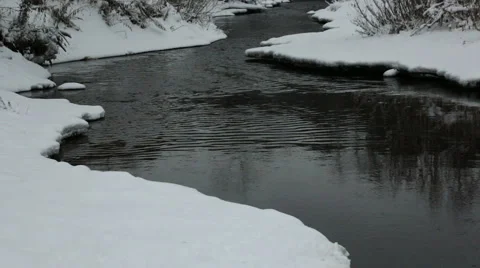 River in the winter forest Stock Footage 58123209
