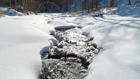 River In The Winter Forest. Video stock 113543907
