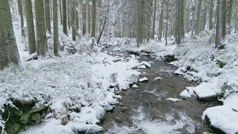 River winter forest nature tree ice outdoor season weather snow Stock Footage 265584279