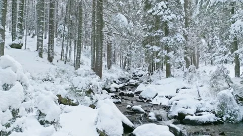 River winter forest nature tree ice outdoor season weather snow Stock Footage 265599732