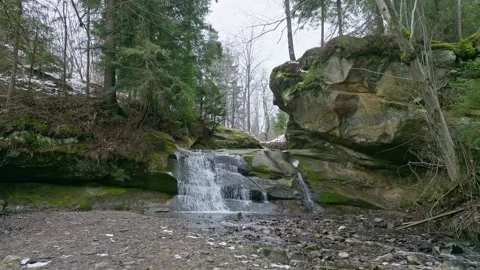 River winter forest nature tree ice outdoor season weather snow Video stock 265603096