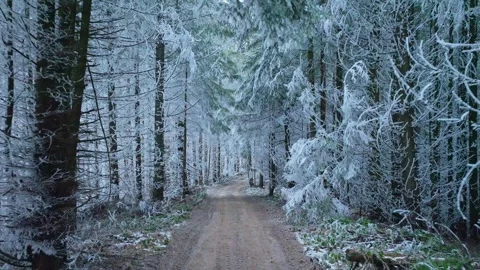 River winter forest nature tree ice outdoor season weather snow Stock-Footage 265605367