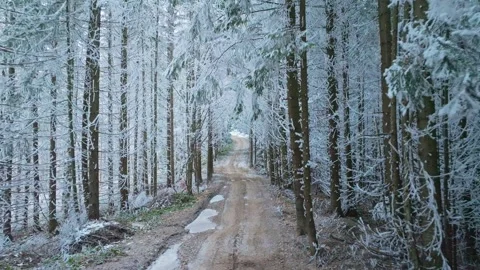 River winter forest nature tree ice outdoor season weather snow Video stock 265606279