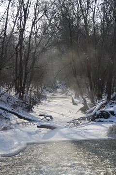 River in the winter forest. Stock Photos