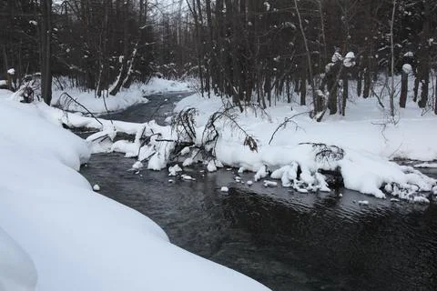 River in winter in the forest Foto stock