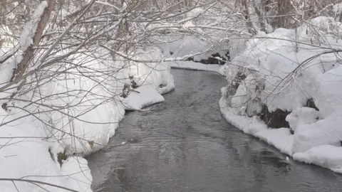 River in winter forest Slow motion Stock Footage 223378933