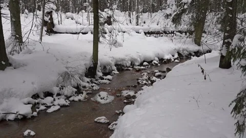 River in a winter forest. A small forest river in winter weather. A woodland Stockbeeldmateriaal 329099001