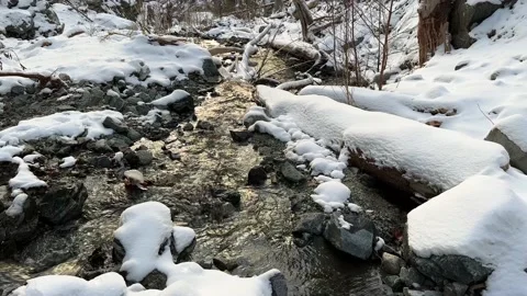 River In Winter Forest With Snow Video stock 226282402