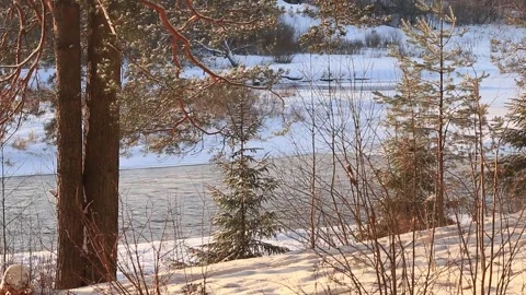 River in a winter forest at a sunset Stock Footage 248310798