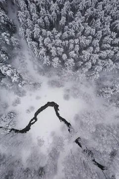 River in the winter forest. View from above Stock Photos