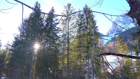 River in winter in Germany in a forest Video stock 108851299