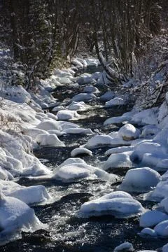 River in winter landscape with trees Fotos de archivo