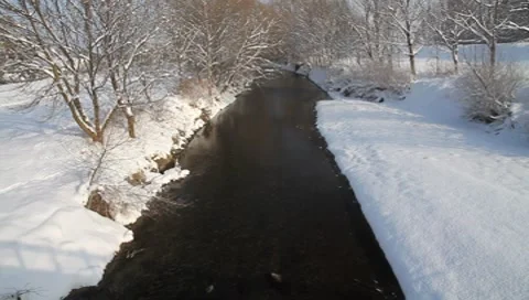 River in winter in Lower Austria (Leitha) Vídeos de archivo 8524209