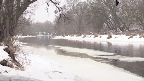 The river in winter is not frozen, trees in snow, ice, current, water Video stock 73685249