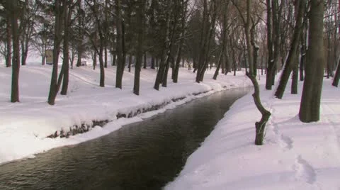 River in winter park. Stock Footage 10787715