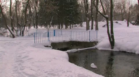 River in winter park. Stock-Footage 10787809