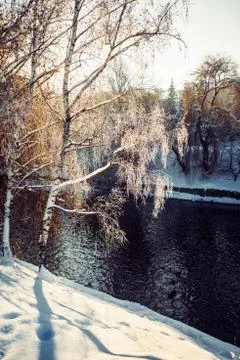 River in winter park Stock Photos