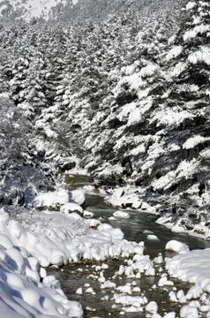 The river in winter Foto stock