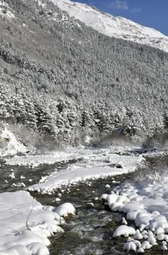 The river in winter Foto stock