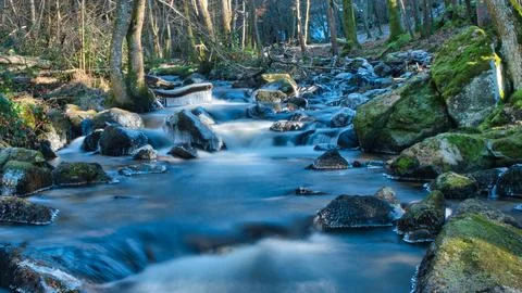 River Winter Foto stock