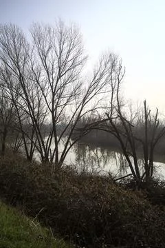 River in winter Stock Photos