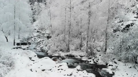 River in the winter snow forest in the mountains Stock Footage 143373144