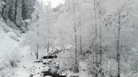 River in the winter snow forest in the mountains Stock Footage 143375492