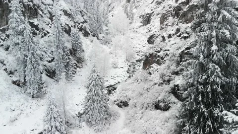 River in the winter snow forest in the mountains Видео 143376193