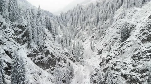 River in the winter snow forest in the mountains Видео 143376537