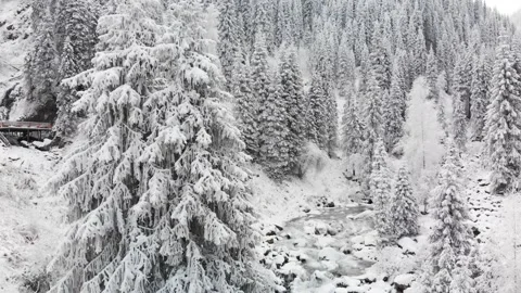 River in the winter snow forest in the mountains 库存影片 143376838