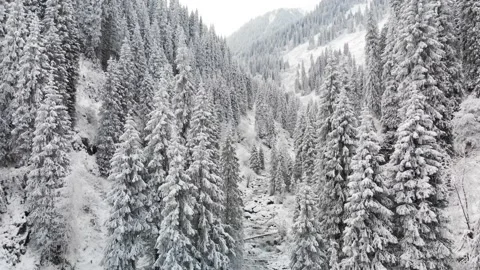 River in the winter snow forest in the mountains 库存影片 143377044