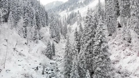 River in the winter snow forest in the mountains 库存影片 143377053