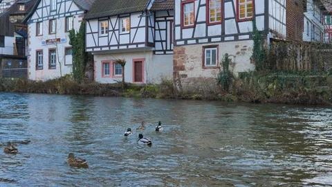 River in winter with stream next to wooden facades with group of ducks Stock Footage 124496085