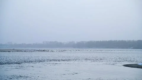 The river in the winter at sunset Stock Footage 321611902