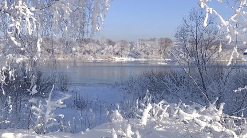 The river in winter, surrounded by snow-covered trees. Stock Footage 82858141
