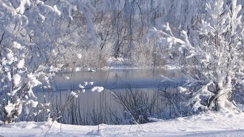 The river in winter, surrounded by snow-covered trees. Stock Footage 82858892