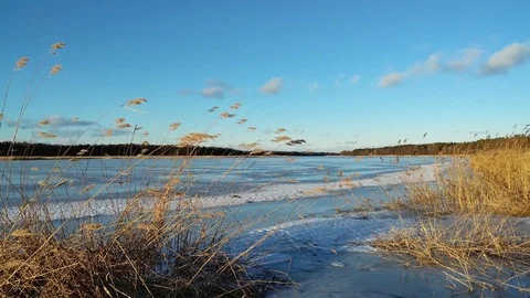 River in winter. View on the frozen river landscape. Stock Footage