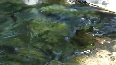 River of Wisdom Stock Footage 201330947