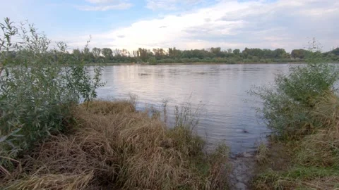 River wisla in Warsaw natural2 Stock Footage 169045958