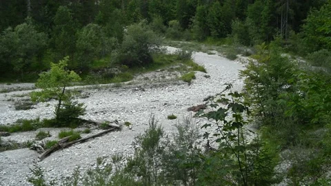 River without water in the mountains in summer 2022 스톡 동영상 211741629