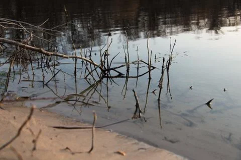 River wood background Stock Photos