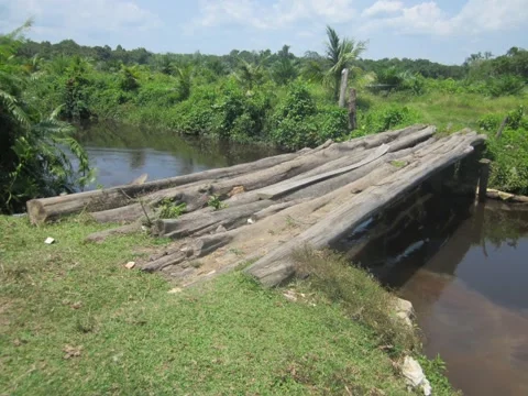 River wooden bridge view Stock Footage 209777287