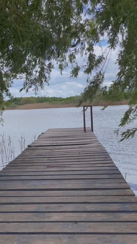 River wooden pier. The wind blows willow branches over the river pier Stock Footage 273701624